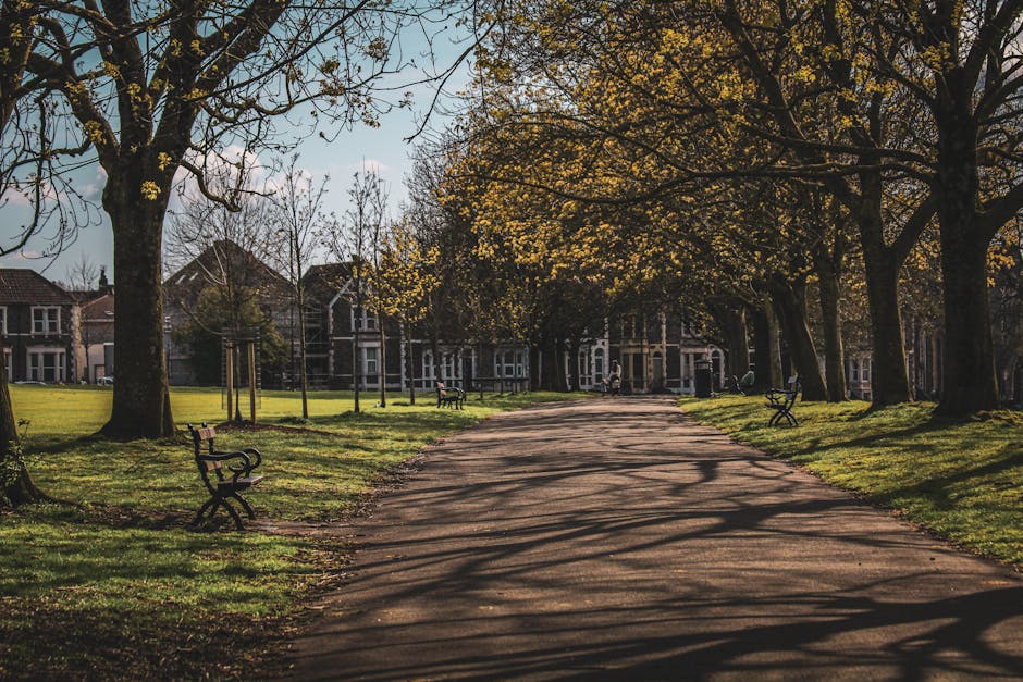 A paved pathway in a tree-lined park area with large mature trees casting long shadows across the ground. Several metal benches with curved armrests and wooden slats are positioned along the pathway and surrounding grassy areas. In the background, residential houses with brick and wood facades are partially visible through the branches. The overall scene is bathed in soft natural light, suggesting early morning or late afternoon. This tranquil outdoor setting is associated with local community spaces, which may be relevant when considering house removals and transporting furniture or belongings through nearby areas, as done by companies like Man with Van Abbey Wood for their relocation and packing services.