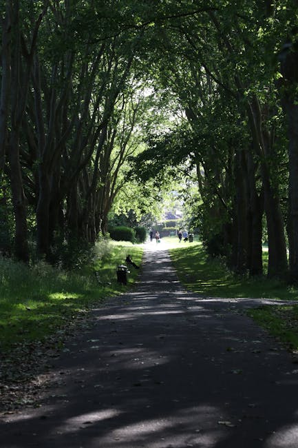 A shaded pathway lined with tall, leafy trees arching overhead, with sunlight filtering through the canopy. On the left side of the path, there are green benches and a waste bin, while on the right, the grassy verge borders the paved walkway. Several people are visible in the distance, some walking, and the scene suggests a peaceful park setting, possibly within Lesnes Abbey Woods. This environment could be relevant to home relocation or moving services, as depicted by the natural surroundings in the context of a typical outdoor route used during a furniture transport or packing and moving process, with no visible furniture or moving equipment in the image itself.
