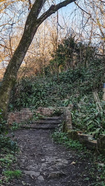 A shaded path within Lesnes Abbey Woods, surrounded by tall, mature trees with lush green foliage. The dirt trail is wide and clear, leading towards a small gateway of stone pillars and wooden fencing at the distance, under dappled sunlight filtering through the canopy. The scene depicts a tranquil outdoor environment suitable for walking or outdoor activities, representing the natural setting near Abbey Wood. This image, associated with Man with Van Abbey Wood's house removal and moving services, highlights the importance of protecting access paths during relocation logistics in such scenic locations.