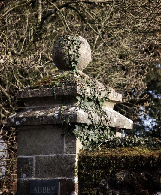 Close-up of an old stone boundary marker with a large spherical top, covered in green and grey moss and ivy. The marker features multiple layers of stone blocks, some showing weathering and lichen growth, situated outdoors with leafless tree branches in the background. The scene is lit by natural daylight, emphasizing the textured surface of the stone. This type of boundary marker could be encountered near historic properties or in garden settings, relevant to house removals and property relocation services such as those offered by Man with Van Abbey Wood. The overall image highlights traditional marker stones that may be part of estate boundary demarcations or historic features associated with property surroundings.