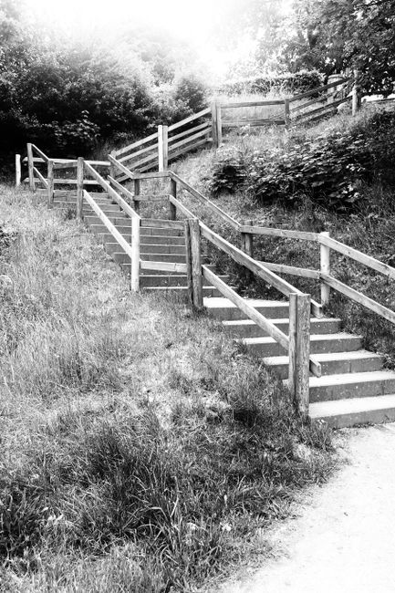 Black and white photograph of an outdoor wooden staircase with multiple flights and landings, built along a grassy hillside with a dirt path at the base. The staircase features wooden handrails on both sides and is supported by vertical wooden posts. The surrounding area includes trees and dense foliage, providing shade and a natural environment. The staircase appears sturdy, suitable for outdoor access in a park or garden setting. This outdoor stairway may be used in settings where home relocation or moving services, such as those offered by Man with Van Abbey Wood, assist clients with transporting furniture and packing materials across uneven terrain or between properties situated on different levels. The image emphasizes the practical aspects of navigating external steps during house removals or furniture transport involving outdoor access points.